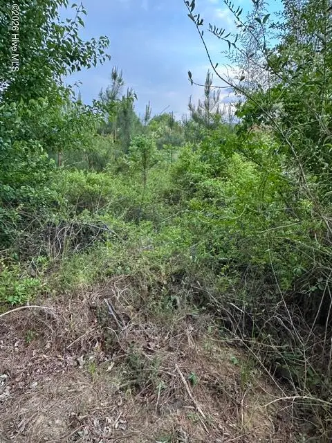 000 Duke Road, Castalia, NC 27816 — lot, Castalia, NC, photo 1 of 2: Duke Rd Land