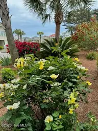 3 Myrtle Court, Ocean Isle Beach, NC 28469 — 4-bedroom home in Island Park, Ocean Isle Beach, NC, photo 7 of 55: Beautifully landscaped
