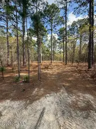 27 1209 Birkdale Way, Pinehurst, NC 28374 — lot in Forest Creek, Pinehurst, NC, photo 7 of 20: IMG_0959 Medium