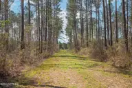 0 Nc-903, Stokes, NC 27884 — lot, Stokes, NC, photo 20 of 28: Stokes Tract 18