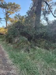 196 Styron Creek Road, Sea Level, NC 28577 — lot, Sea Level, NC, photo 1 of 2: tempImageLtU41U