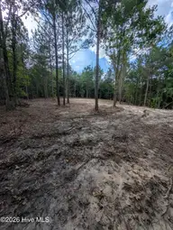 Tbd 2R-3 Peyton Drive, Eagle Springs, NC 27242 — lot, Eagle Springs, NC, photo 9 of 11: PXL_20260707_210805038