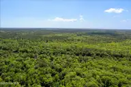 0 Riverview Drive, Burgaw, NC 28425 — waterfront lot in Alligator Lakes Estates, Burgaw, NC, photo 16 of 25: 12-DronePhotosLotBurgaw-13