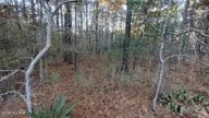 4 Brassie Circle, Jackson Springs, NC 27281 — lot in Foxfire Village East, Jackson Springs, NC, photo 6 of 25