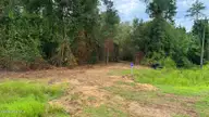 5 Bull Tail Road, Wallace, NC 28466 — lot, Wallace, NC, photo 17 of 21