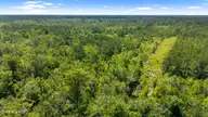 0 Tbd 110 Acres American Way Road, Rocky Point, NC 28457 — lot, Rocky Point, NC, photo 4 of 12