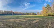 41.5 Acres High School Road, Teachey, NC 28464 — lot, Teachey, NC, photo 15 of 20