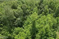 00 Old Chinquapin Road, Beulaville, NC 28518 — lot, Beulaville, NC, photo 21 of 41
