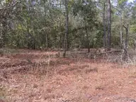 Tbd Plank Road, Robbins, NC 27325 — lot in Robbins, Robbins, NC, photo 2 of 4: IMG_1526