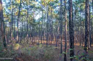 145 4 Pixie Moss Lane, Southern Pines, NC 28387 — lot in Horse Country, Southern Pines, NC, photo 3 of 3: Screen Shot 2023-04-01 at 11.44.03 PM
