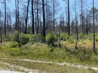 799 73 Jasmine Road, Boiling Spring Lakes, NC 28461 — lot in Boiling Spring Lakes, Boiling Spring Lakes, NC, photo 2 of 5