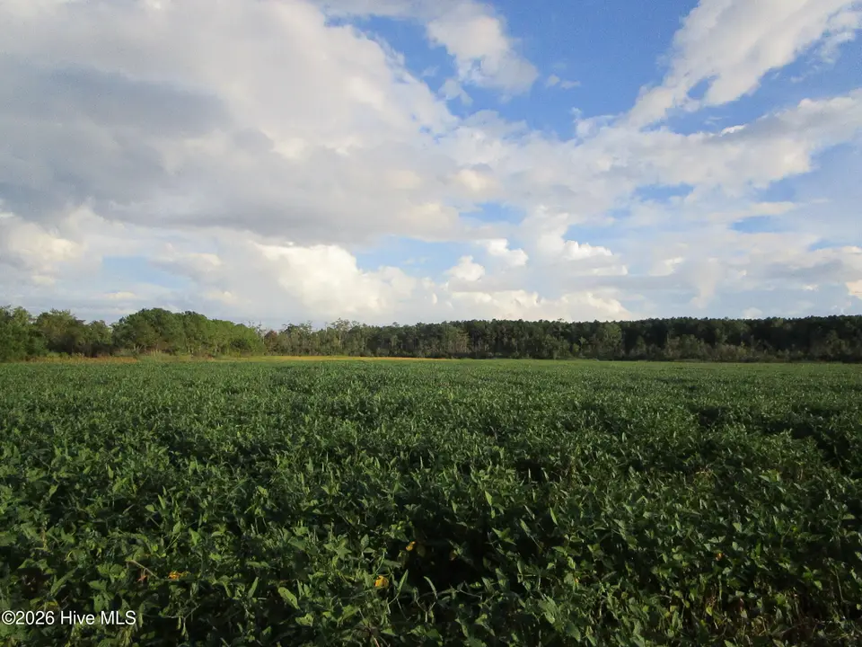0 4 Bluff Point Road, Elizabeth City, NC 27909 — lot, Elizabeth City, NC, photo 1 of 7: IMG_9340