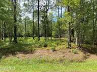 361 32&33 Ash Road, Boiling Spring Lakes, NC 28461 — lot in Boiling Spring Lakes, Boiling Spring Lakes, NC, photo 1 of 11