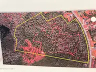 326 Sand Ridge Road, Hubert, NC 28539 — lot, Hubert, NC, photo 2 of 13: IMG_9620