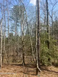 Tbd Healing Acres Lane, Carthage, NC 28327 — lot, Carthage, NC, photo 2 of 19: IMG_3182