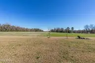 852 Bug Hill Road, Nakina, NC 28455 — lot, Nakina, NC, photo 13 of 40: Home (8 of 39)