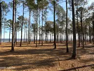 0 Norfleet Shores Road, Belhaven, NC 27810 — waterfront lot, Belhaven, NC, photo 18 of 39: IMG_0818 2