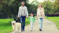 244 Maddox Drive, Aberdeen, NC 28315 — 3-bedroom home in Martin Farms, Aberdeen, NC, photo 16 of 25: family-walking-dog