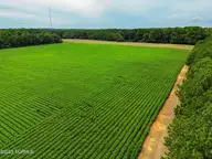 000 S Nc 581 Highway, Bailey, NC 27807 — waterfront lot in Old Fields, Bailey, NC, photo 10 of 53: DJI_0219_pro