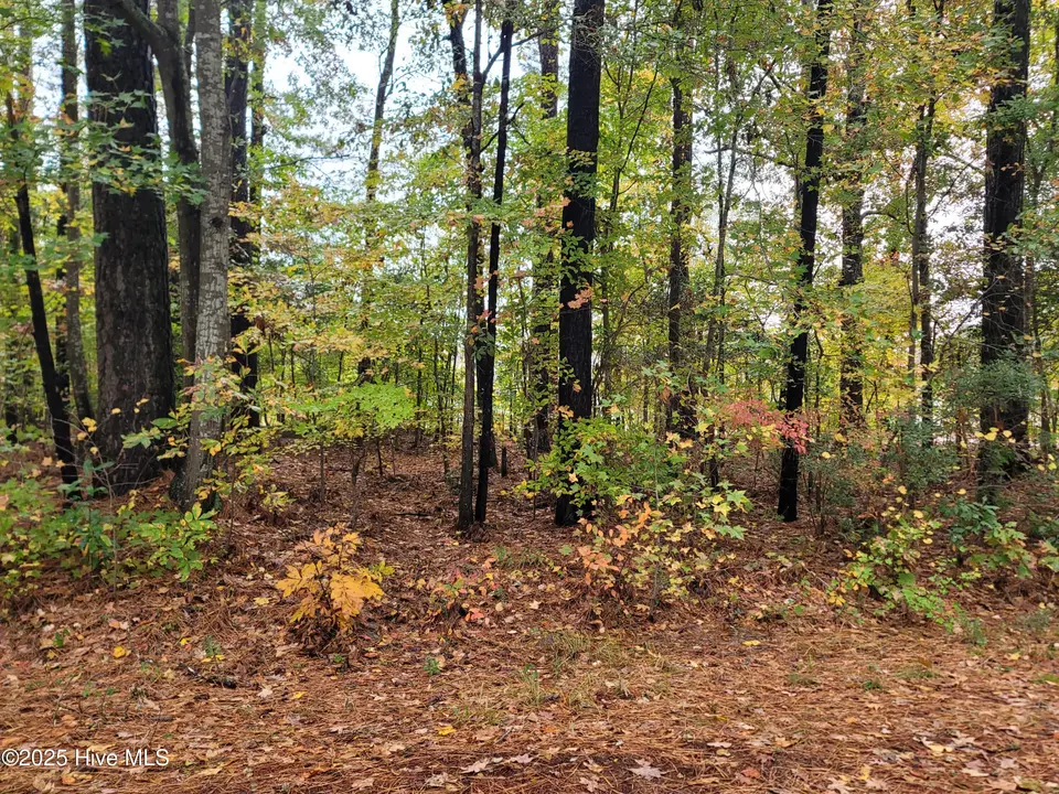 Lot #17 17 Dogwood Trail, Elizabeth City, NC 27909 — waterfront lot in Pine Lake Forest, Elizabeth City, NC, photo 1 of 11
