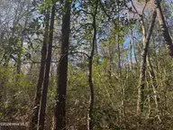 0 2 & 3 Little Prong Road NW, Ash, NC 28420 — lot, Ash, NC, photo 6 of 7: IMG_3468