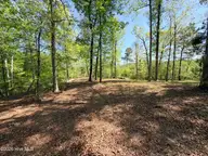 109/111 Barry Lane, Jacksonville, NC 28540 — waterfront lot in Oakhurst River, Jacksonville, NC, photo 11 of 24: IMG_8719