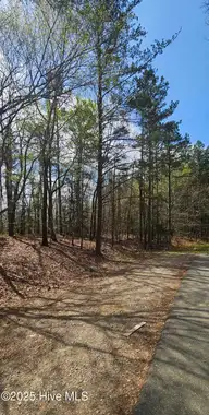Lot 4 Leaman Road, Robbins, NC 27325 — lot, Robbins, NC, photo 5 of 7: Leaman Rd
