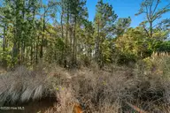 166 Fulcher Landing Drive, Stacy, NC 28581 — waterfront lot, Stacy, NC, photo 17 of 22: Waterfront vacant lot in Stacy