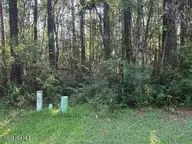 900 114 River Reach Court, New Bern, NC 28560 — lot in Fairfield Harbour, New Bern, NC, photo 24 of 25: IMG_0870