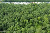 1750 TRACT 5 GJ Norris N Carolina Hwy 58, Peletier, NC 28584 — lot, Peletier, NC, photo 22 of 26: wooded