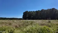 2 Rivenbark Road, Wallace, NC 28466 — lot, Wallace, NC, photo 1 of 2: DJI_20260928144235_0097_D