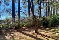 4803 Andrew Jackson Highway SW, Chadbourn, NC 28431 — 3-bedroom home, Chadbourn, NC, photo 14 of 72
