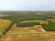 000 Rains Crossroads Road, Princeton, NC 27569 — lot, Princeton, NC, photo 3 of 5: Rains Crossroads Road Pictures - 0000000