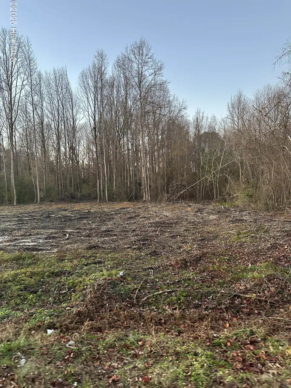 2978 1 Stoney Hill Church Road, Bailey, NC 27807 — lot in Williams Grove, Bailey, NC, photo 1 of 1: Main view