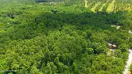 109 5 Equestrian Lane, Carthage, NC 28327 — lot in Carolina Equest, Carthage, NC, photo 6 of 12: 6-web-or-mls-DJI_20260709142302_0636_D -