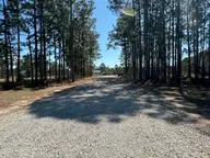 331 The Cove Lane NE, Leland, NC 28451 — lot in The Cove at Town Creek, Leland, NC, photo 12 of 12: IMG_1744