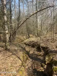 Tbd Healing Acres Lane, Carthage, NC 28327 — lot, Carthage, NC, photo 14 of 19: IMG_3172