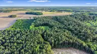 0 Pendergrass Drive, Princeton, NC 27569 — lot, Princeton, NC, photo 2 of 12: 01-Quarterhorse Rd-1