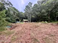 182 Rock Road, Maple Hill, NC 28454 — lot, Maple Hill, NC, photo 2 of 13