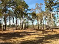 0 Norfleet Shores Road, Belhaven, NC 27810 — waterfront lot, Belhaven, NC, photo 12 of 39: IMG_0812 2