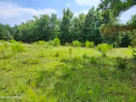 306 16 Revised Howards Landing Road, Hampstead, NC 28443 — lot in Howards Landing, Hampstead, NC, photo 2 of 17