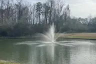 63 Waterfall Lane, Whiteville, NC 28472 — 4-bedroom waterfront home in Waterfall Estates, Whiteville, NC, photo 11 of 22: Community Pond
