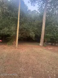 1657 Harper Street, Rocky Mount, NC 27801 — 3-bedroom home, Rocky Mount, NC, photo 10 of 10: Back Yard
