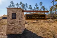 2731 River Meadow. Court, Spring Hope, NC 27882 — 3-bedroom home in The Village of Old Spring Hope, Spring Hope, NC, photo 11 of 11