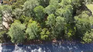 Lot 47 47 Ward Drive, Dudley, NC 28333 — lot in Rita Pines, Dudley, NC, photo 5 of 6: DJI_0693