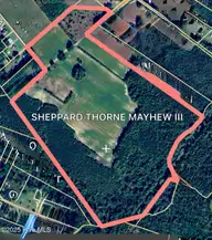 203 Lovick Lane, Washington, NC 27889 — lot, Washington, NC, photo 2 of 7: GIS