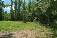 00 Old Chinquapin Road, Beulaville, NC 28518 — lot, Beulaville, NC, photo 24 of 41