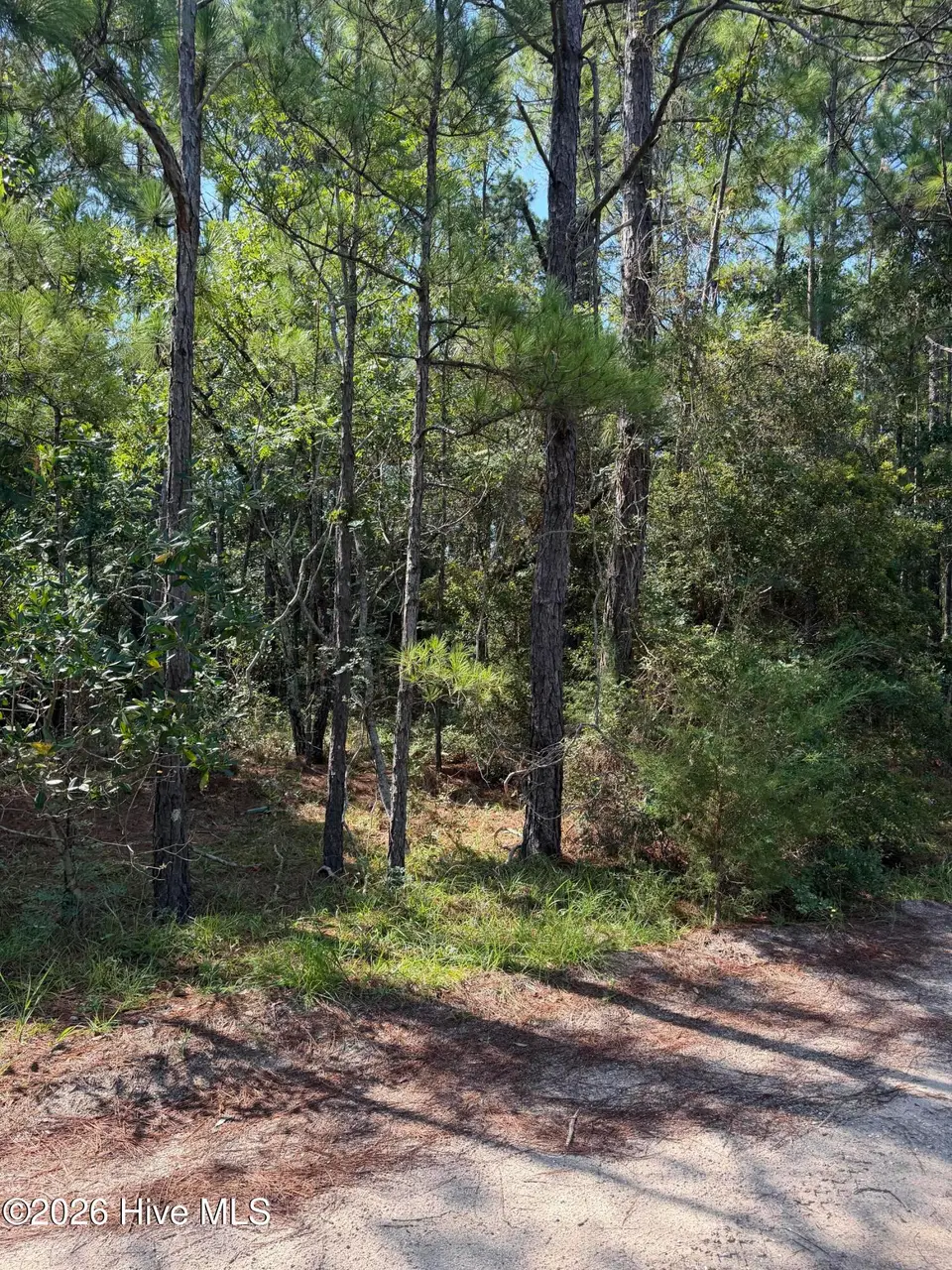 2861 l-189 Robin Drive SW, Shallotte, NC 28470 — lot in Shell Point, Shallotte, NC, photo 1 of 10