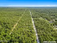 Lot 6 6 Juniper Road, Boiling Spring Lakes, NC 28461 — lot in Boiling Spring Lakes, Boiling Spring Lakes, NC, photo 13 of 21: 13-web-or-mls-CAMMediaLLC.com-4