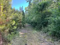 4676 Pleasant Plains Church Road, Whiteville, NC 28472 — lot, Whiteville, NC, photo 5 of 9: IMG_0800